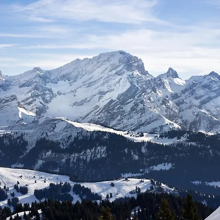 Hedonia A7 By Interhome