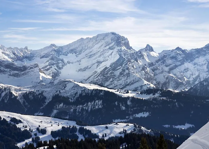 Hedonia A7 By Interhome