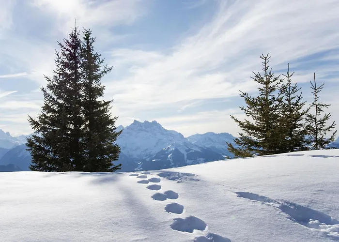 Hedonia A7 By Interhome Διαμέρισμα *